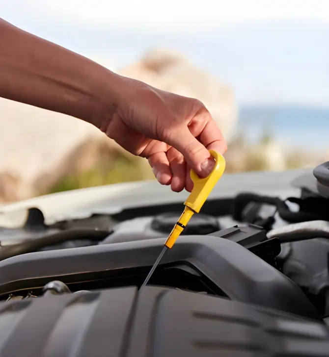 difference-basic-vs-cost-tune